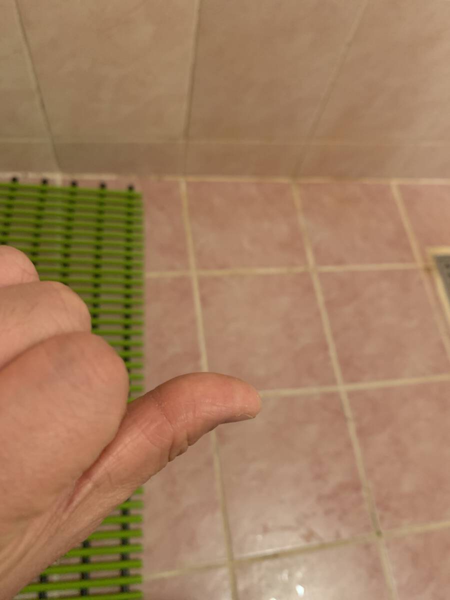 image.jpg