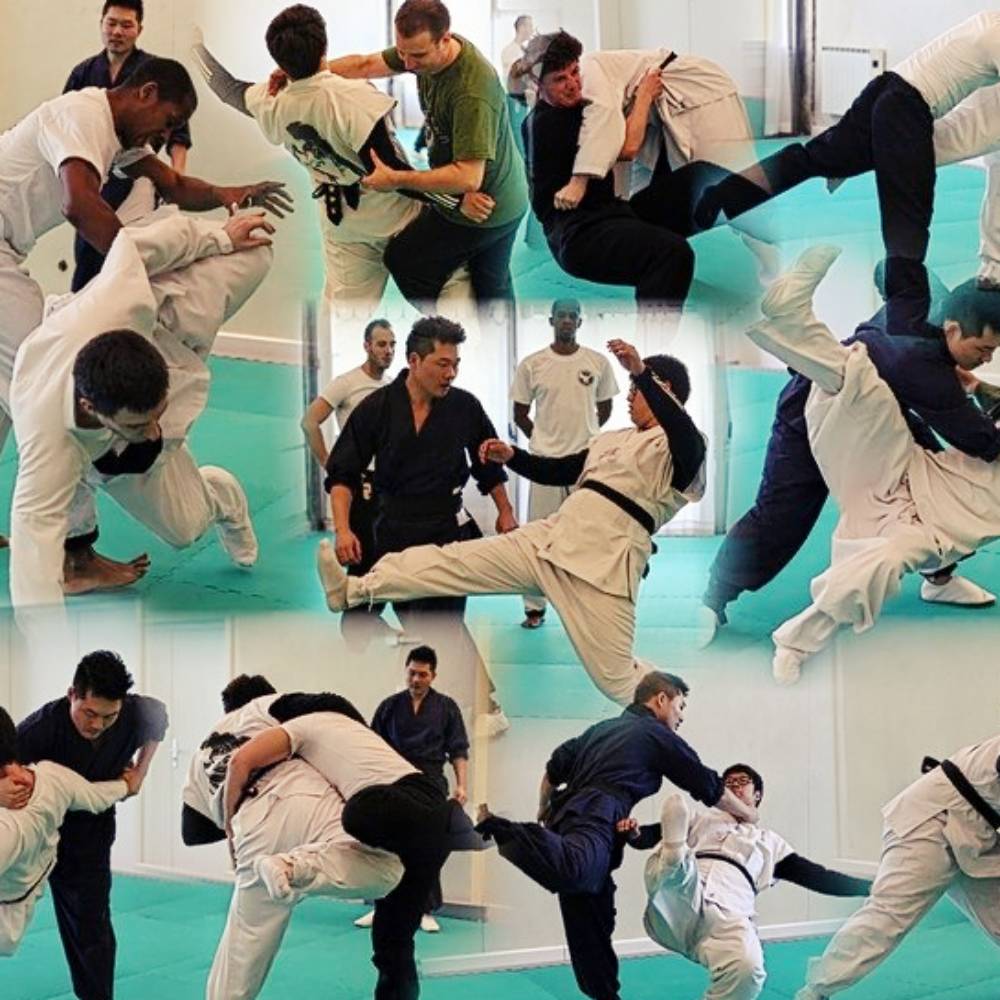 IMG_2548.jpg