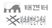 태껸터