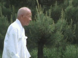 1b1d84171f3b39d5ffa75cd3db2e62e0.gif