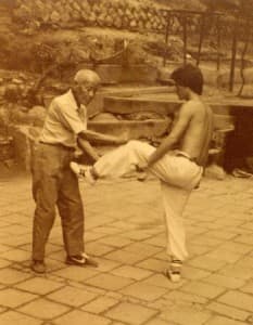 ko3-233x300.jpg