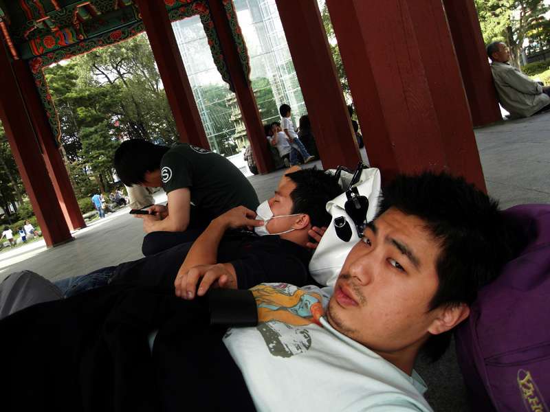 SDC10029.jpg