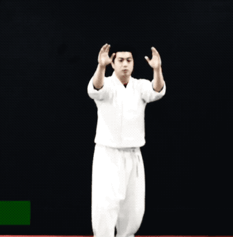 kotchim.2019-03-30 17_07_44.gif