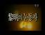 '여명의 눈동자'가 생각난 뒤